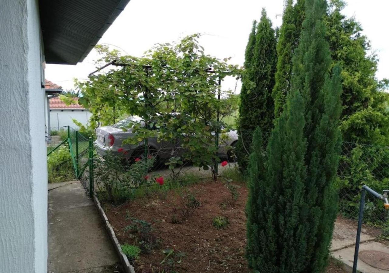 Cozy House Cvetkovic Βίλα Ni Εξωτερικό φωτογραφία